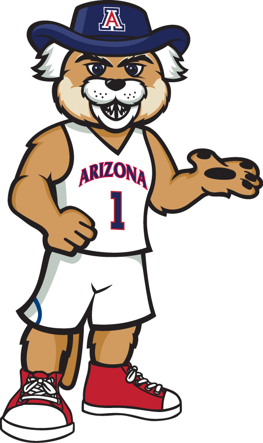 Arizona Wildcats 2013-Pres Mascot Logo v3 DIY iron on transfer (heat transfer)